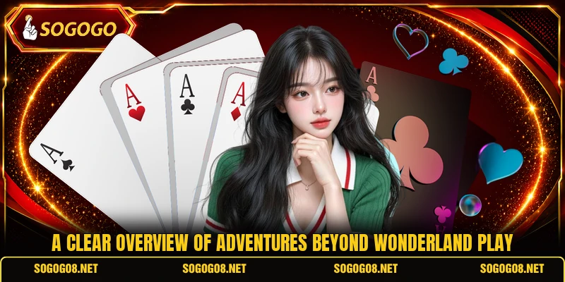 A clear overview of Adventures Beyond Wonderland play