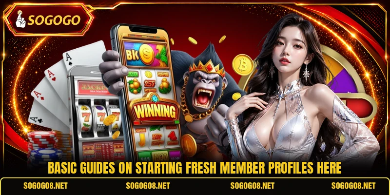 Basic guides on starting fresh member profiles here Basic guides on starting fresh member profiles here