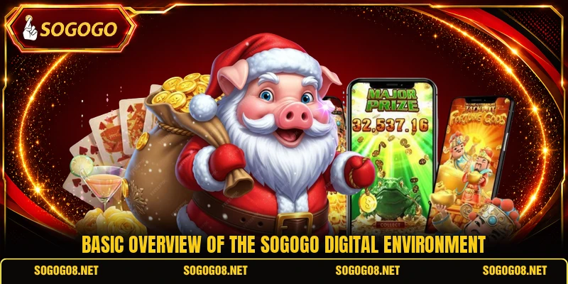 Basic overview of the SOGOGO digital environment