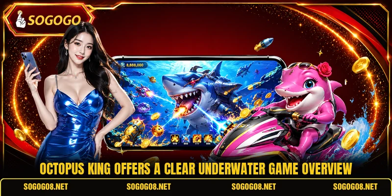 Octopus King offers a clear underwater game overview