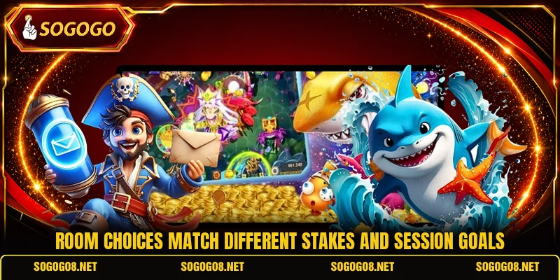 Room choices match different stakes and session goals